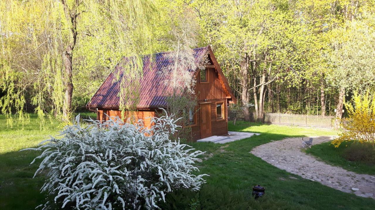 Ferienwohnung Bakusiowy Zakatek Lipowo Kurkowskie Exterior foto