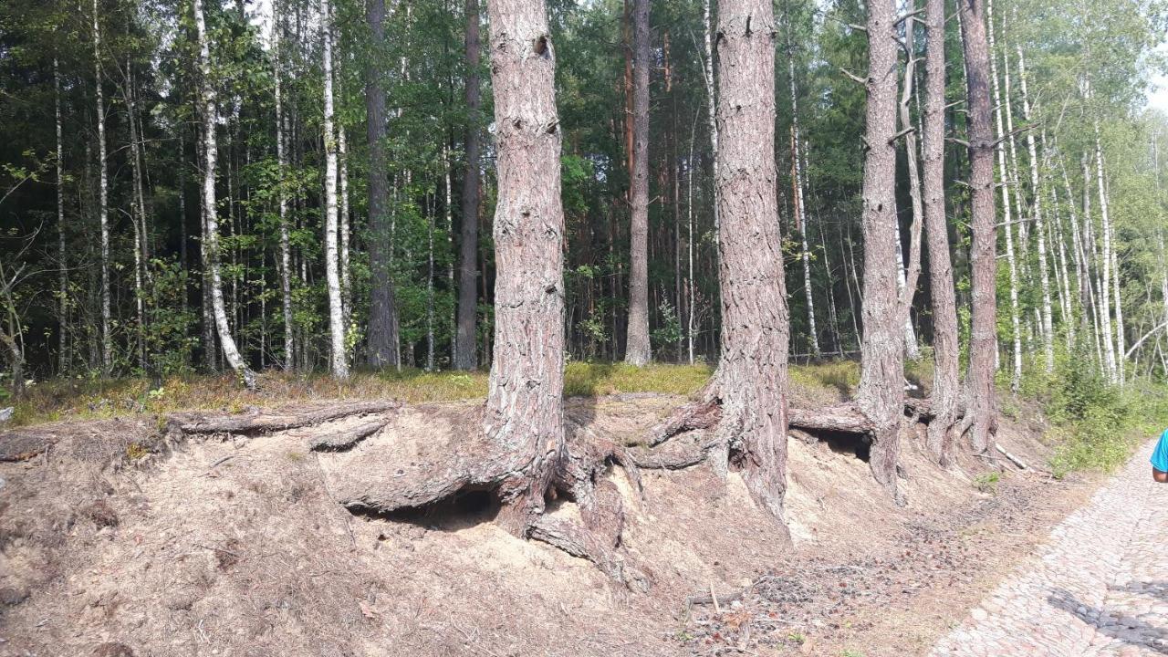 Ferienwohnung Bakusiowy Zakatek Lipowo Kurkowskie Exterior foto
