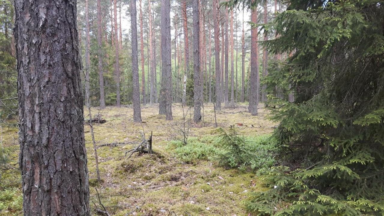 Ferienwohnung Bakusiowy Zakatek Lipowo Kurkowskie Exterior foto